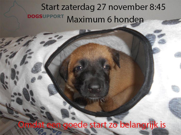 Puppycursus